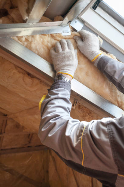 Best Commercial Insulation Services  in Doraville, GA